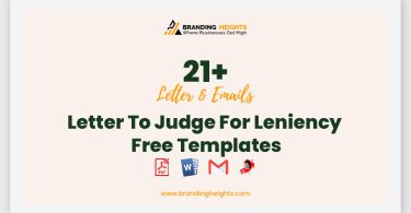 Letter To Judge For Leniency Free Templates